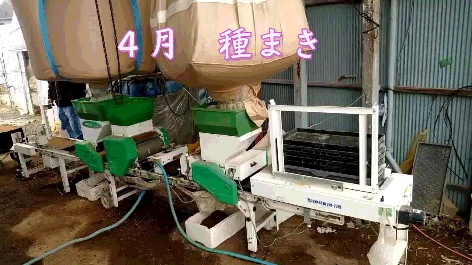 商品一覧 | 茨城産おいしいお米農家直送 古橋